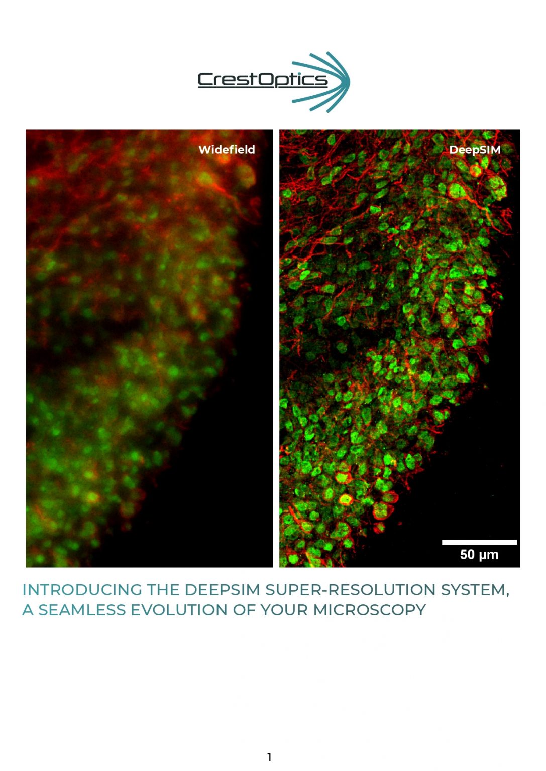 Introducing the DeepSIM super-resolution system, a seamless evolution of