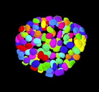 3D-volume-view-1