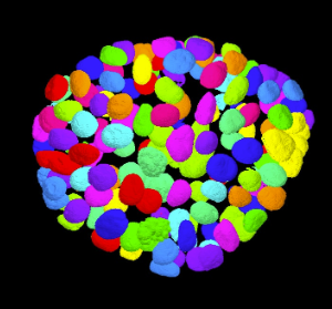 3D-volume-view-2